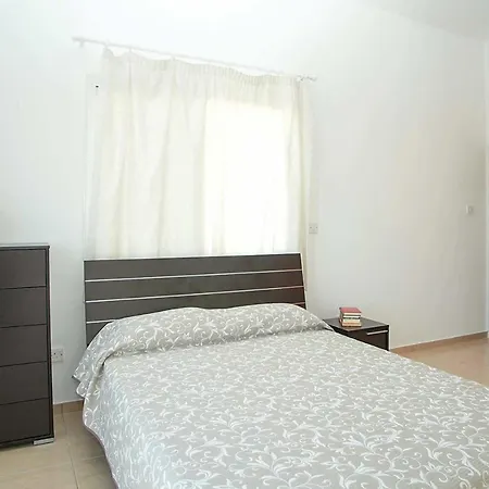 Hibiscus Willa
